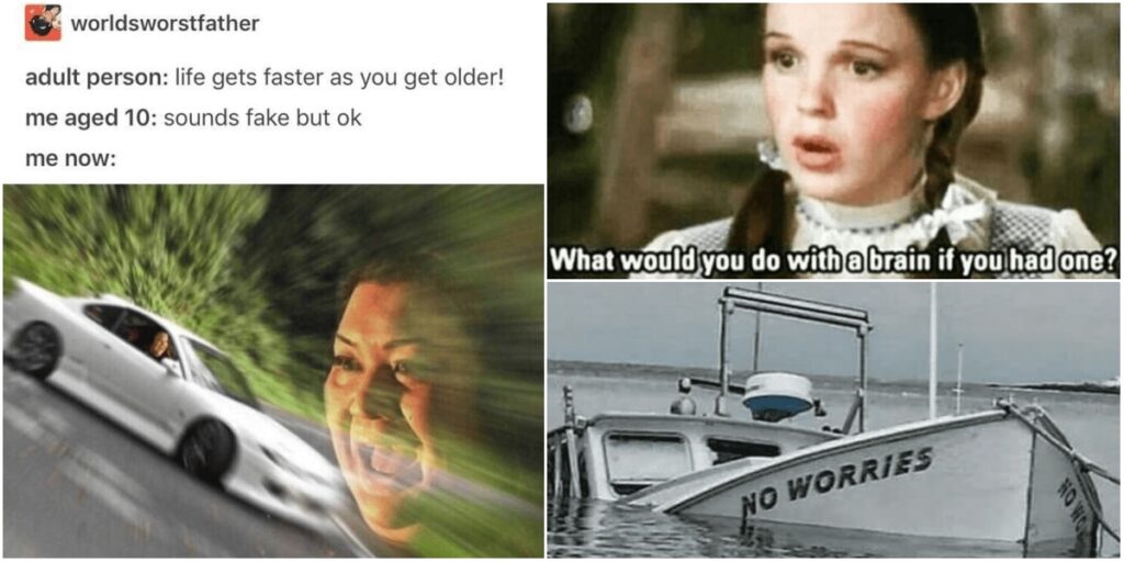 memelol memelol